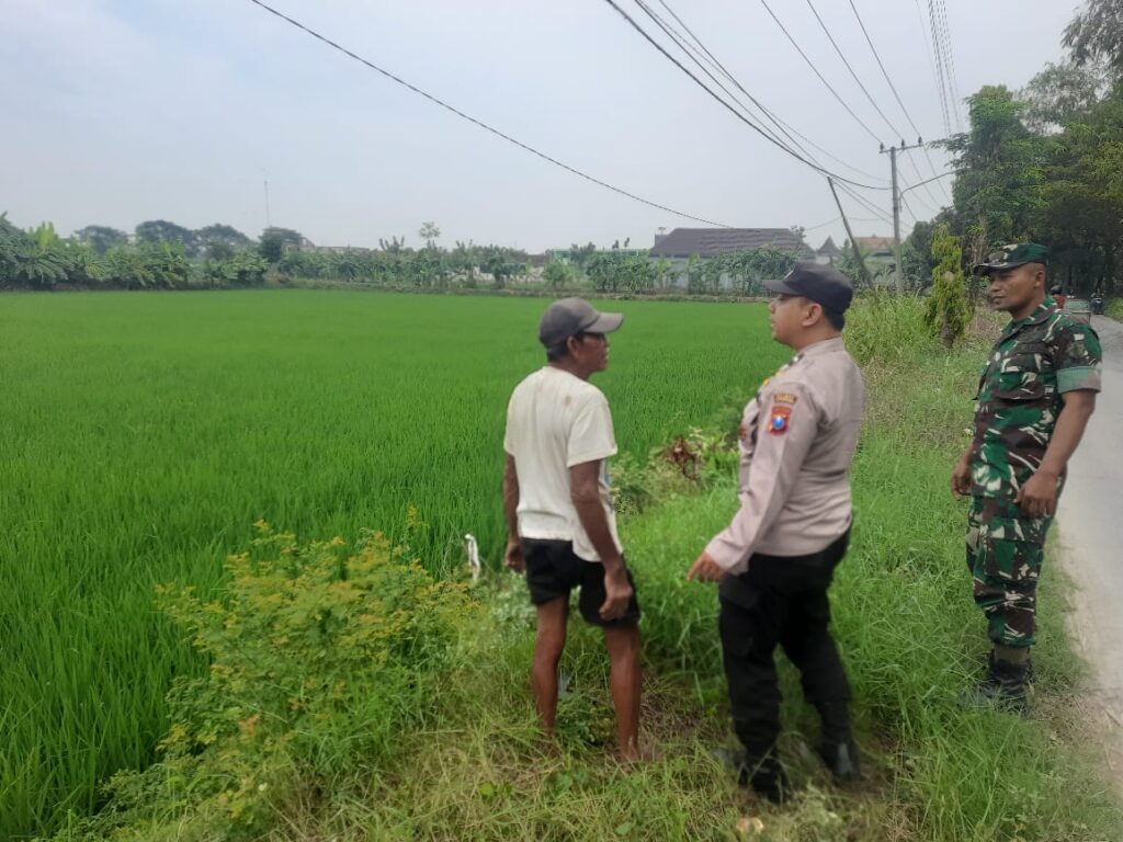Dari Pekarangan Jadi Harapan, Polsek Turi Dampingi Warga Wujudkan Swasembada Pangan