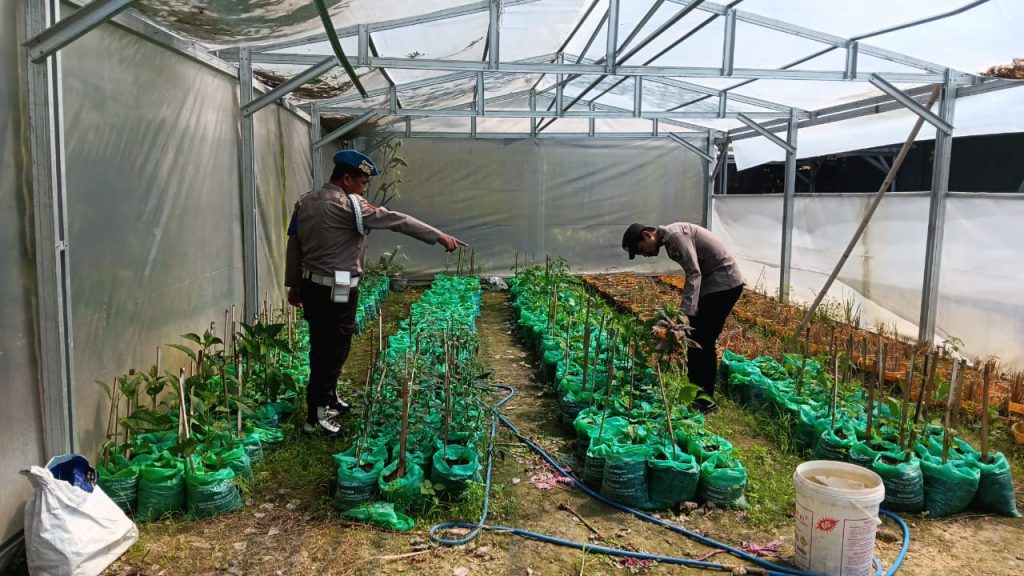 Polsek Maduran Laksanakan Monitoring Program Ketahanan Pangan, Dorong Warga Manfaatkan Pekarangan untuk Tanaman Bergizi