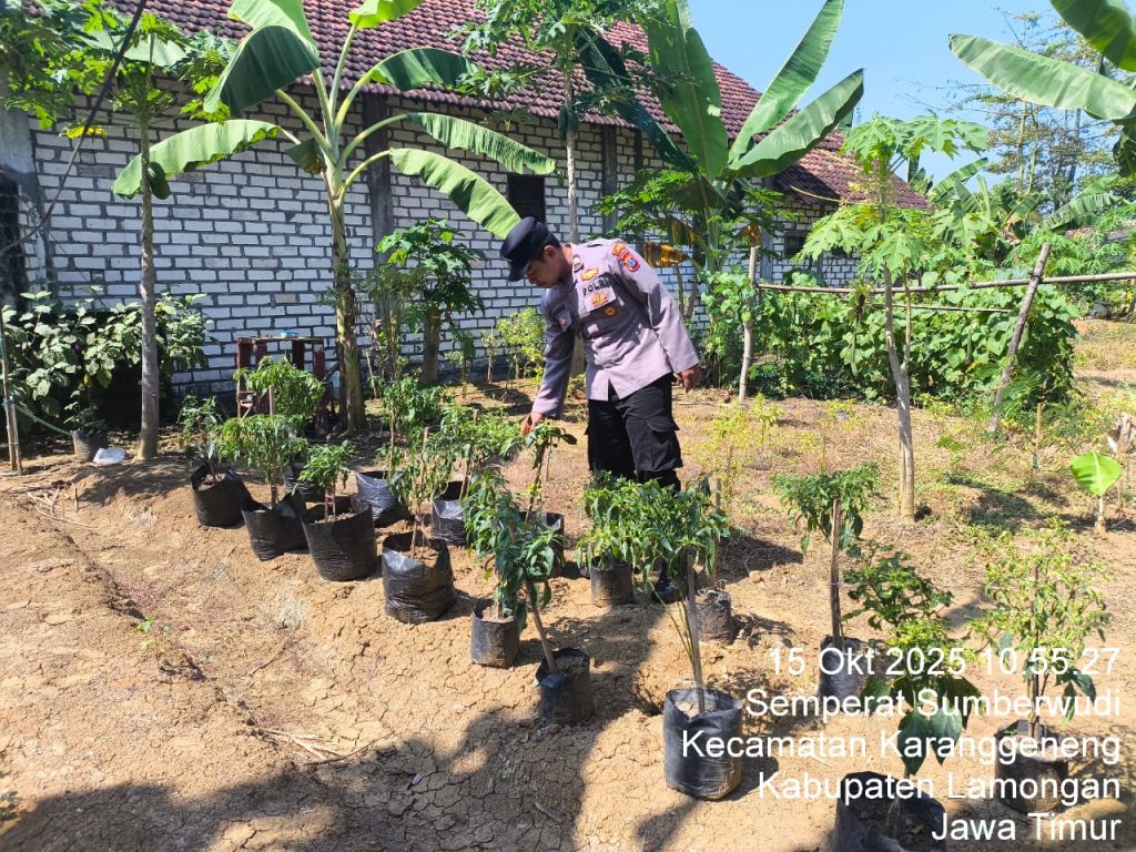 Monitoring Program Pangan Bergizi (P2B), Polsek Karanggeneng Dorong Warga Rawat Tanaman Cabai untuk Ketahanan Pangan
