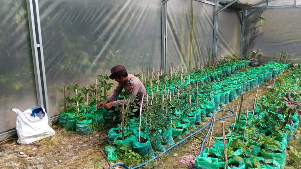 Koordinasi dan Monitoring P2B, Polsek Maduran Dorong Warga Manfaatkan Pekarangan untuk Ketahanan Pangan