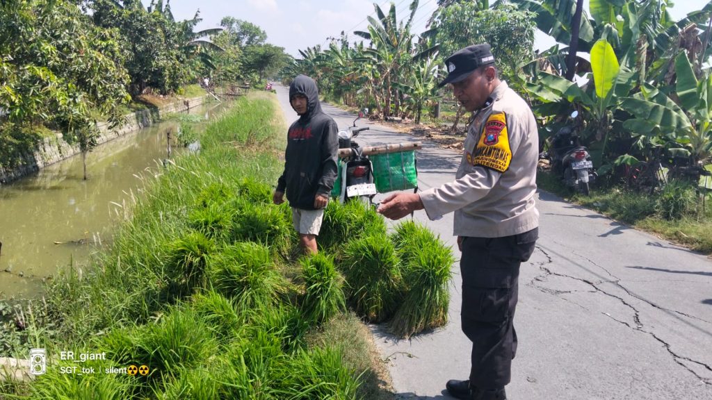 Polsek Kalitengah Dukung Ketahanan Pangan, Sosialisasikan Program P2B di Desa Dibee