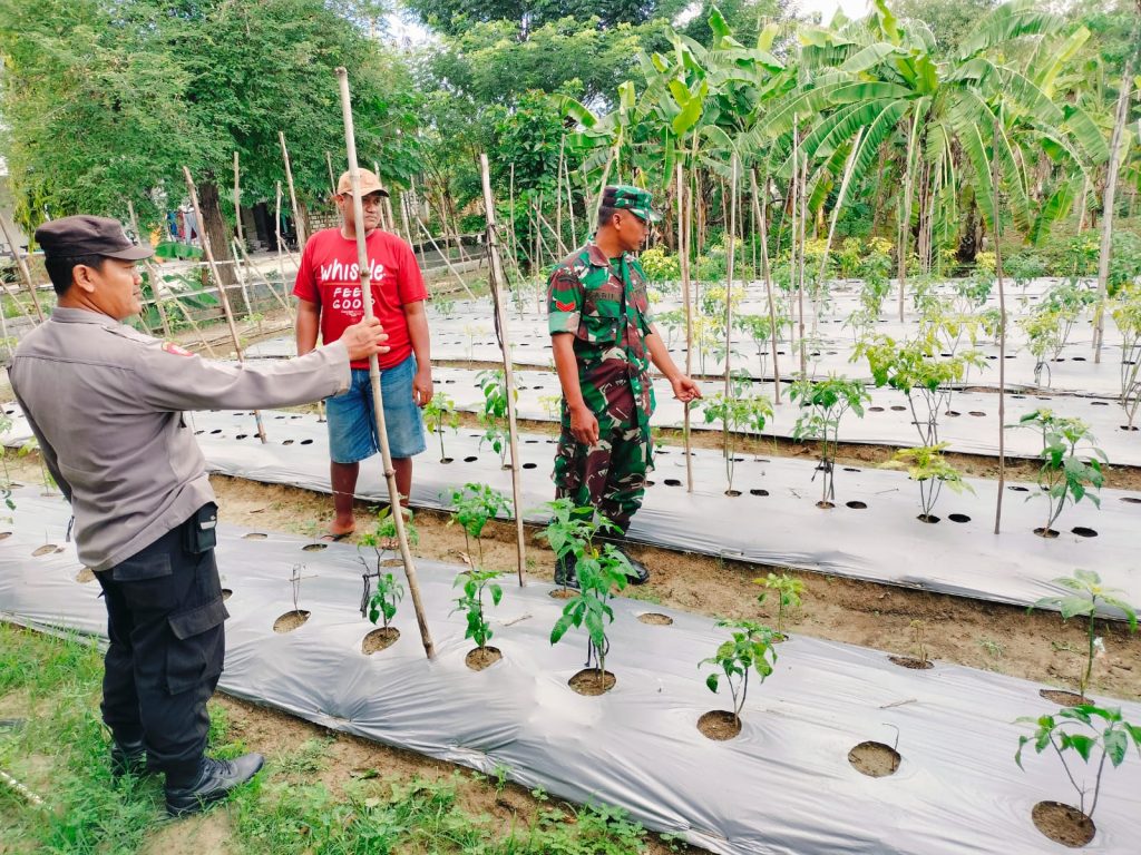 Monitoring Program P2B di Sukorejo Dorong Optimalisasi Pekarangan untuk Ketahanan Pangan