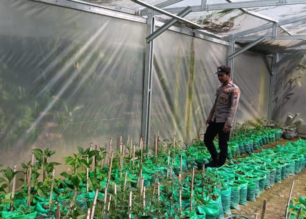 Polsek Maduran Dorong Masyarakat Optimalkan Pekarangan untuk Pangan Bergizi