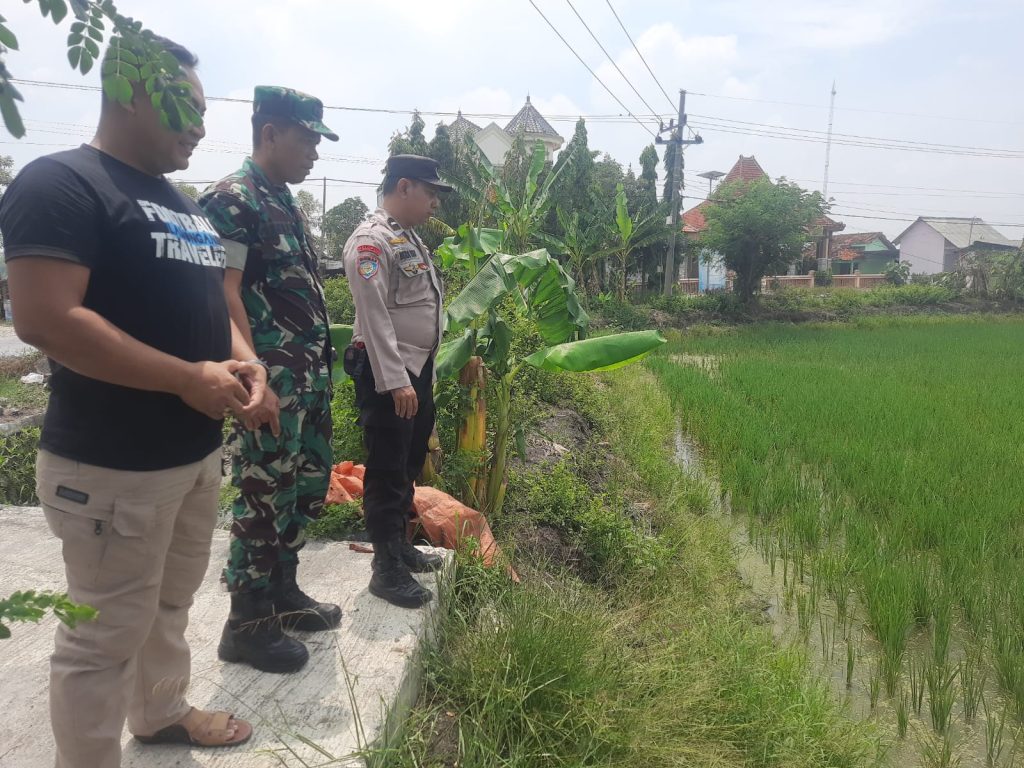 Polsek Turi Dukung Ketahanan Pangan Lewat Program Pekarangan Pangan Bergizi (P2B)