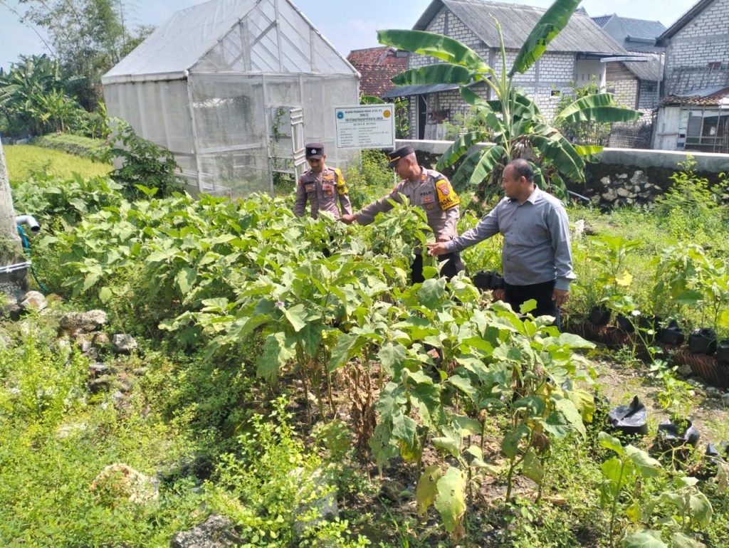 Polsek Maduran Dorong Warga Kanugrahan Tanam Sayur di Pekarangan untuk Wujudkan Ketahanan Pangan