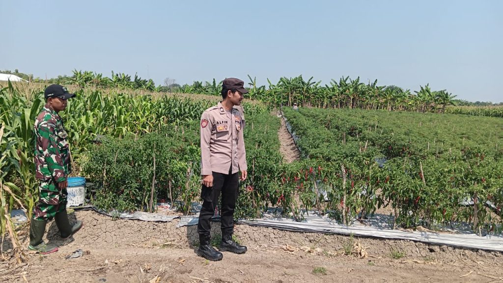 Koordinasi dan Monitoring P2B, Polsek Maduran Dorong Warga Tanam Tanaman Bergizi di Pekarangan