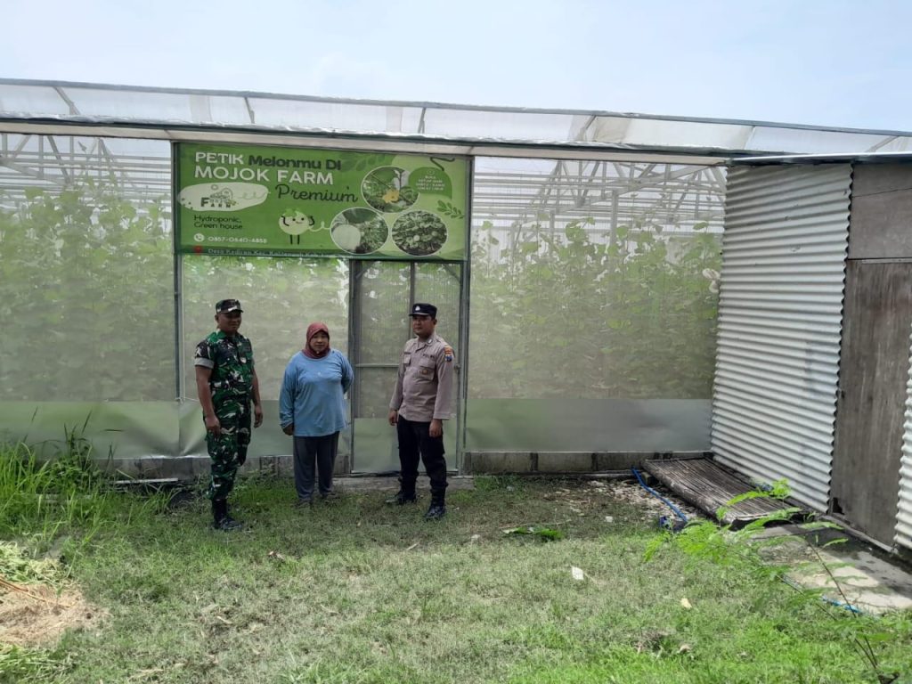 Monitoring P2B di Kalitengah, Wujud Sinergitas Polsek dan Koramil Dukung Ketahanan Pangan