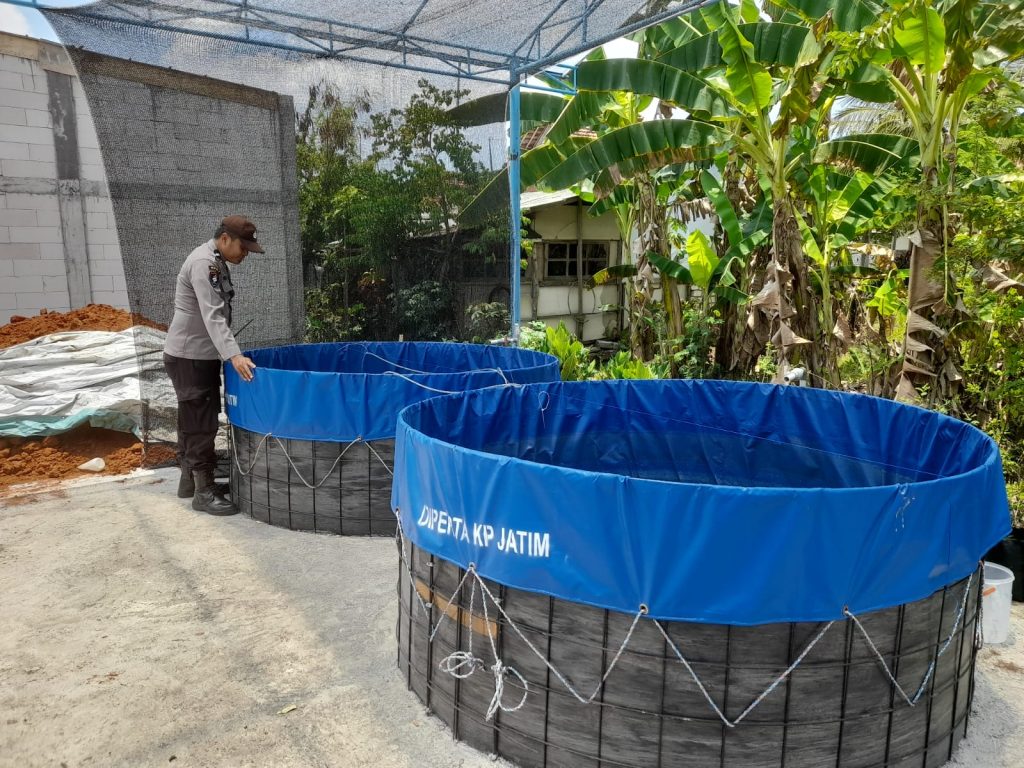 Polsek Kalitengah Dukung Program Ketahanan Pangan, Monitor P2B Tanaman Bergizi di Desa Kalitengah