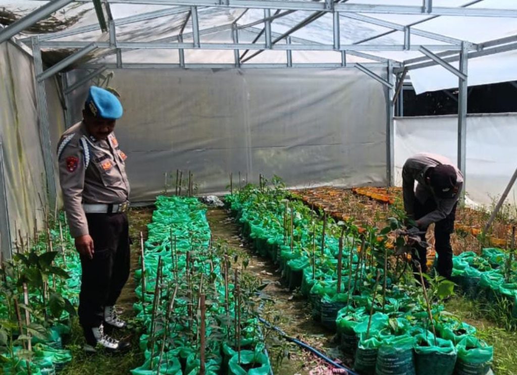 Polsek Maduran Dukung Ketahanan Pangan, Ajak Warga Tanam Cabai di Pekarangan