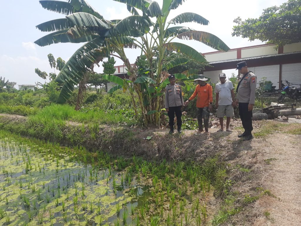 Polsek Turi Dukung Program Ketahanan Pangan, Kapolsek AKP Suroto Tinjau Pekarangan Bergizi di Desa Geger