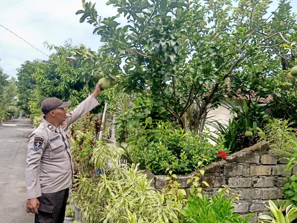 Polsek Kalitengah Monitoring Program P2B di Desa Butungan, Dorong Ketahanan Pangan Berkelanjutan
