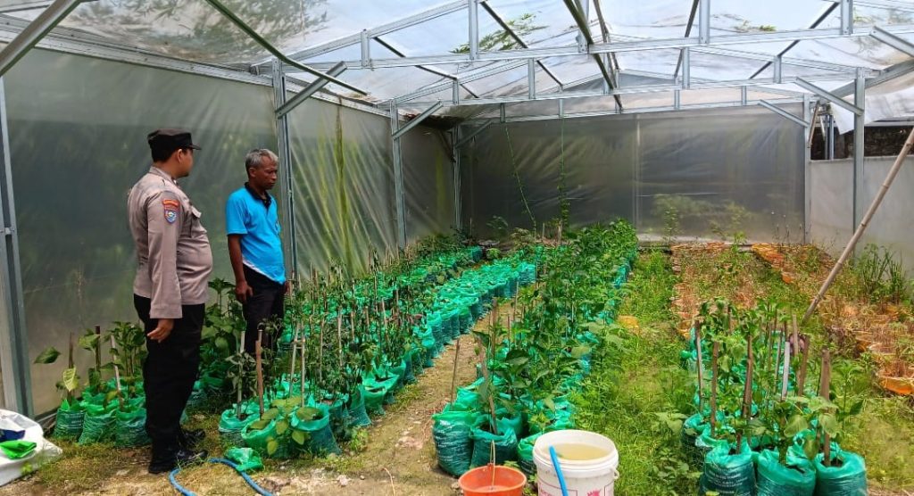 Dukung Pangan Mandiri, Polsek Maduran Motivasi Warga Klagensrampat Tanam Tanaman Bergizi