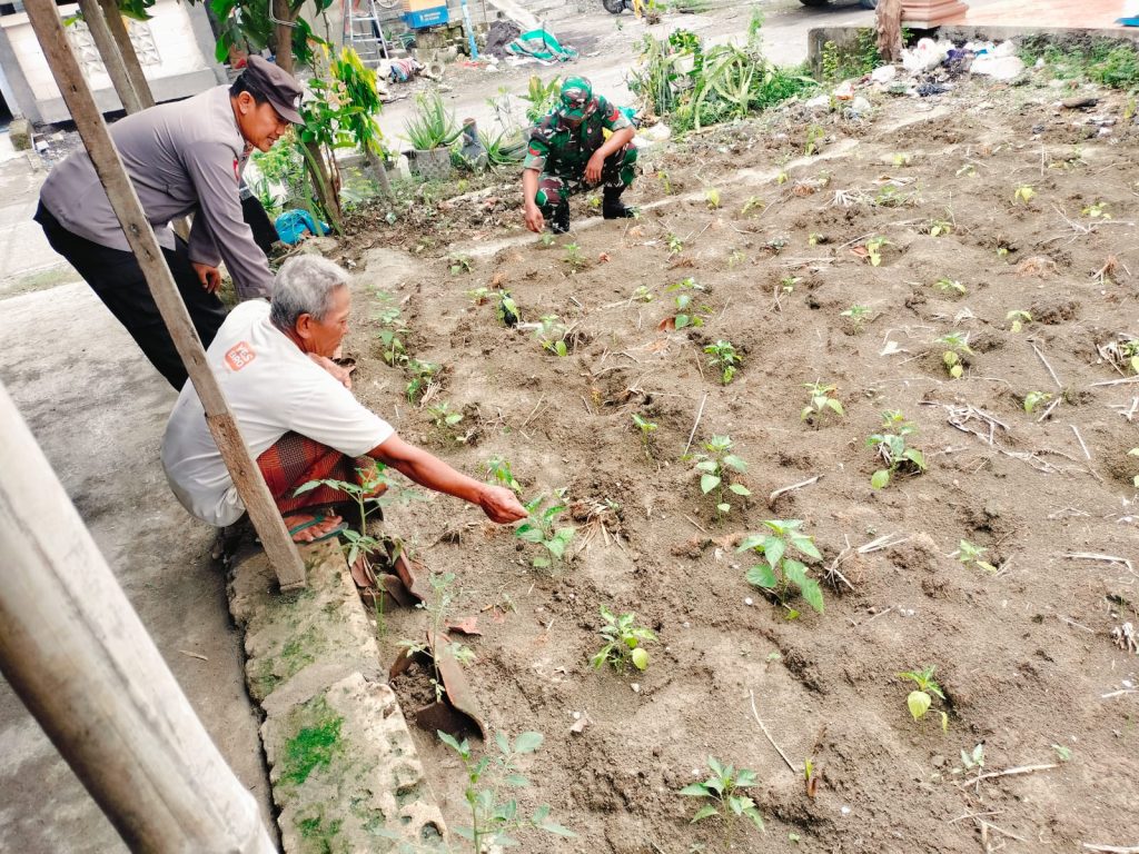 Polsek Turi Lakukan Monitoring P2B di Desa Kemlagi Gede, Dorong Ketahanan Pangan Lewat Pekarangan Produktif
