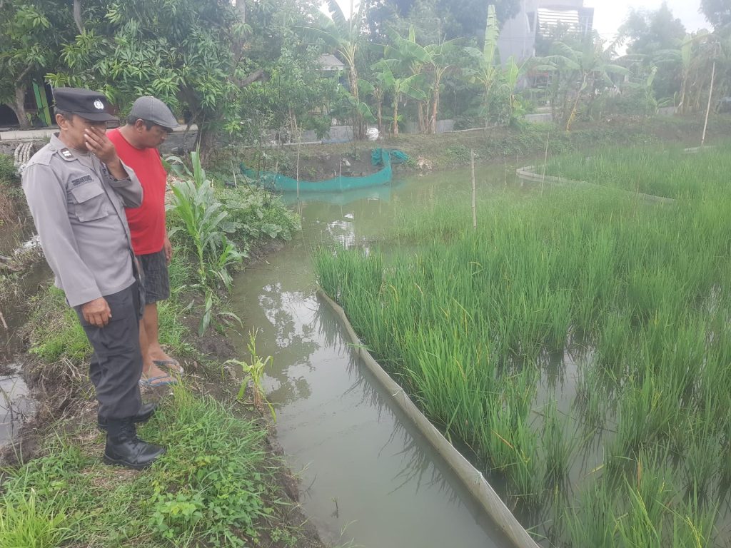 Polsek Turi Cek Rutin Pekarangan Bergizi di Kemlagi Gede, Dukung Swasembada Pangan Nasional