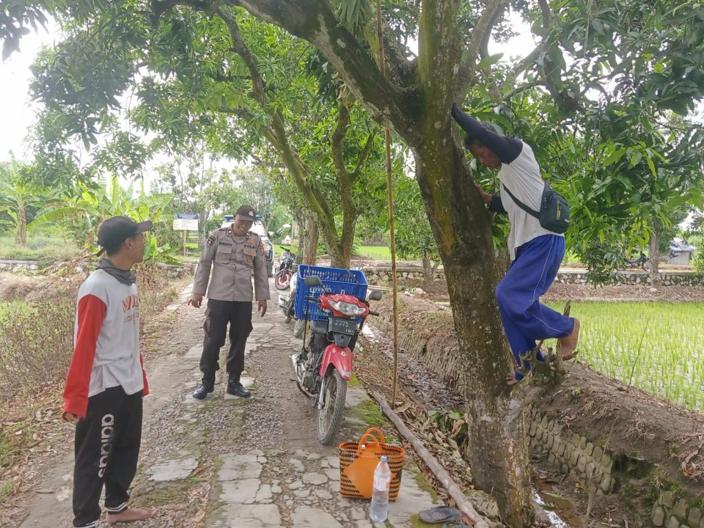 Sosialisasi P2B di Pematang Sawah Desa Butungan, Polsek Kalitengah Dorong Penguatan Ketahanan Pangan Lokal