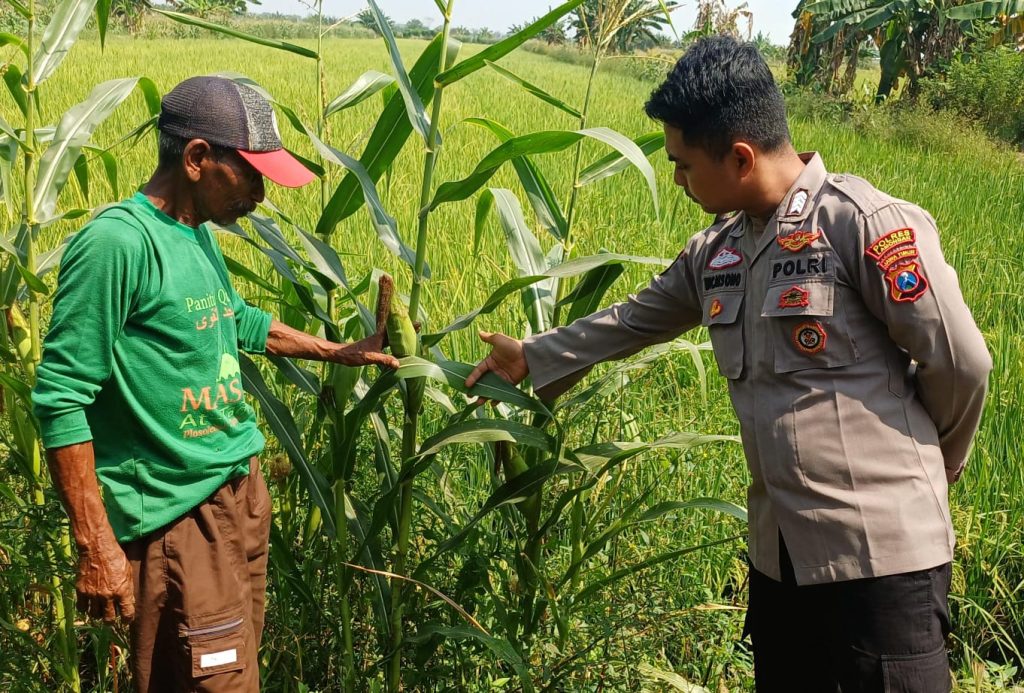 Polsek Turi Intensifkan Pengecekan Pekarangan Bergizi di Wangunrejo, Dukung Swasembada Pangan Nasional