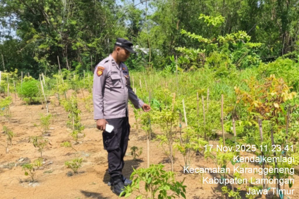 Dukung Ketahanan Pangan, Polsek Karanggeneng Monitoring Program Pangan Bergizi (P2B) di Kendalkemlagi