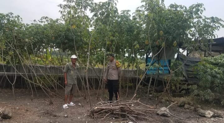 Polsek Maduran Dorong Ketahanan Pangan Lewat Program Pekarangan Bergizi di Desa Brumbun