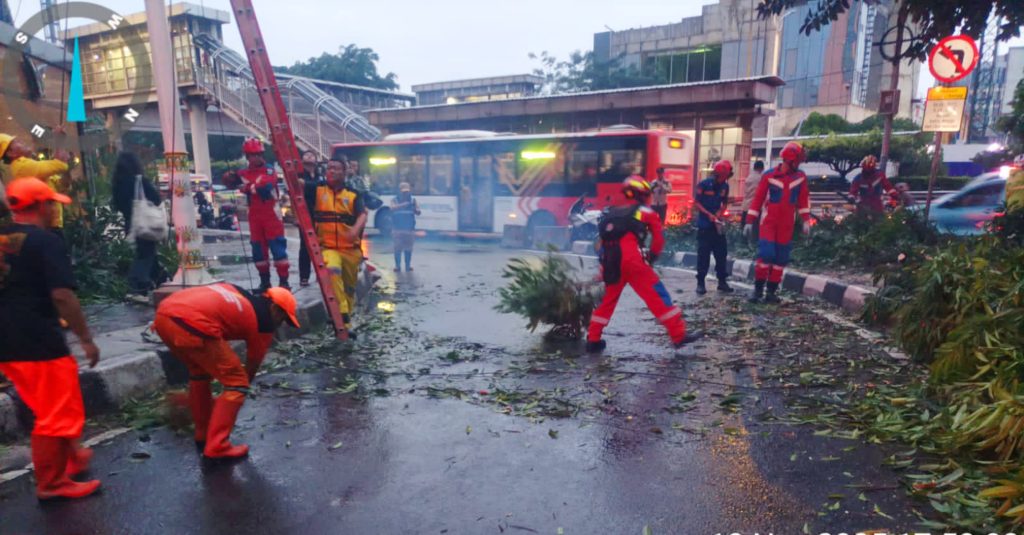 Aksi “Gercep” Babinsa Koramil 03/Grogol Petamburan Serka Heru Wahyana Bantu Evakuasi Pohon Tumbang di Slipi