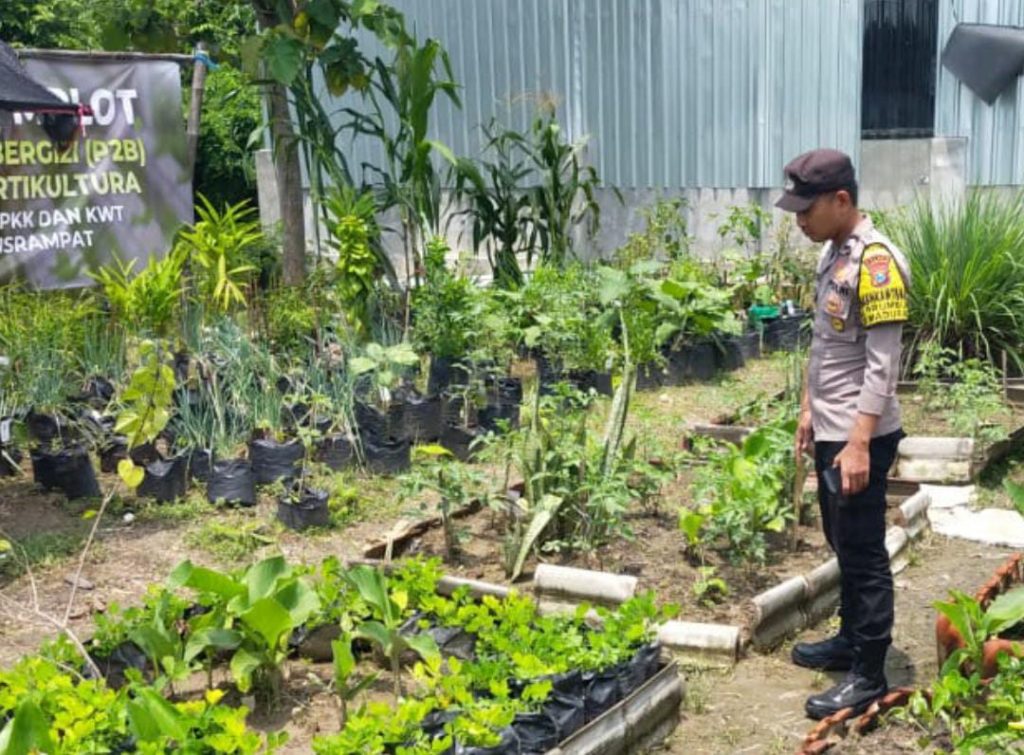 Polsek Maduran Lakukan Monitoring P2B, Warga Didorong Optimalkan Pekarangan untuk Tanaman Bergizi