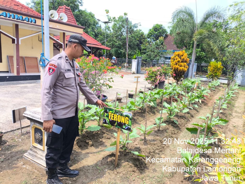 Polsek Karanggeneng Monitor Program Pangan Bergizi di Lahan Pekarangan Warga Desa Mertani