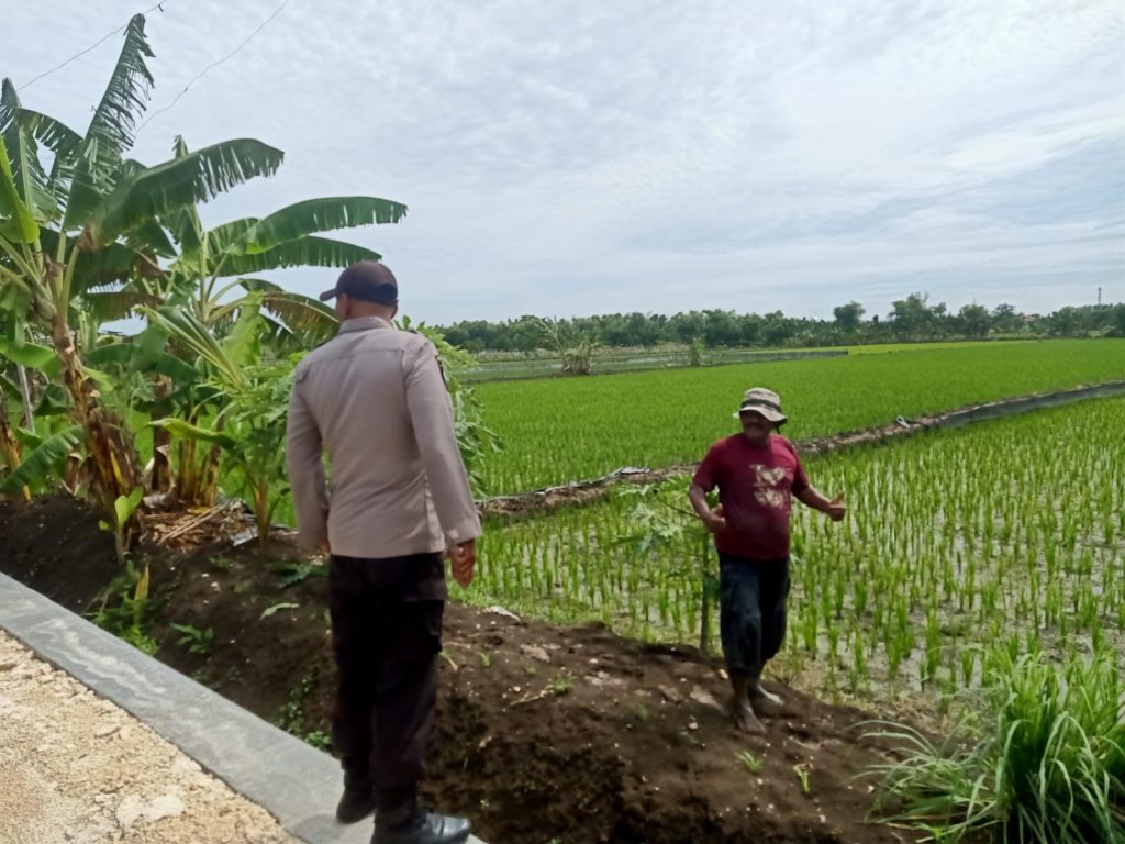 Polsek Kalitengah Pasang Banner Larangan Jebakan Tikus Beraliran Listrik, Warga Diimbau Gunakan Cara Ramah Lingkungan
