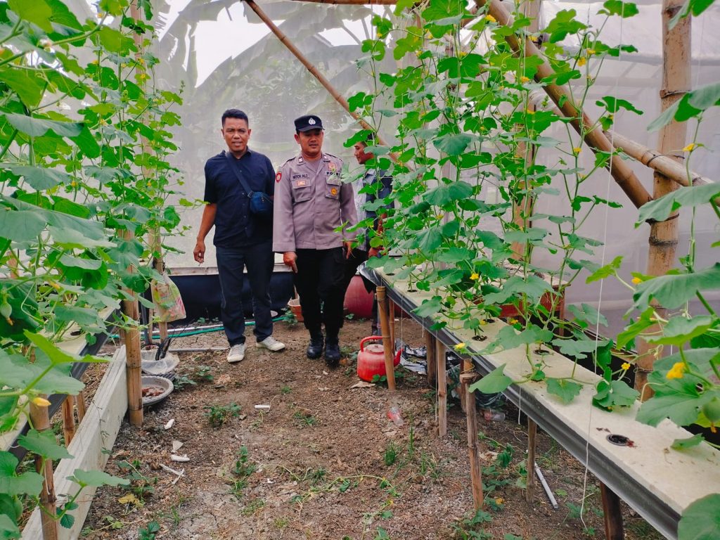 Dukung Asta Cita Presiden, Polsek Turi Monitoring P2B, Pekarangan Desa Turi Penuh Kelengkeng, Jeruk, Pepaya dan Kolam Ikan Produktif