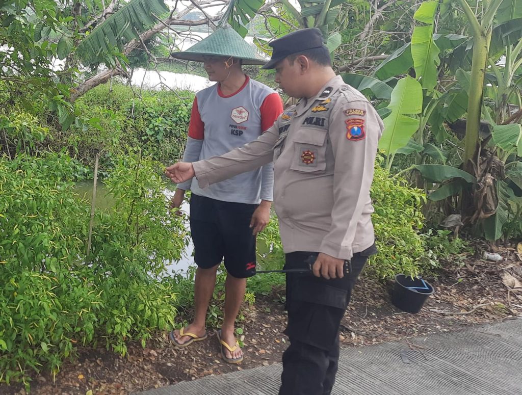 Polsek Turi Monitoring P2B, Tanaman Buah dan Ikan di Pekarangan Warga Tambak Ploso Tumbuh Subur