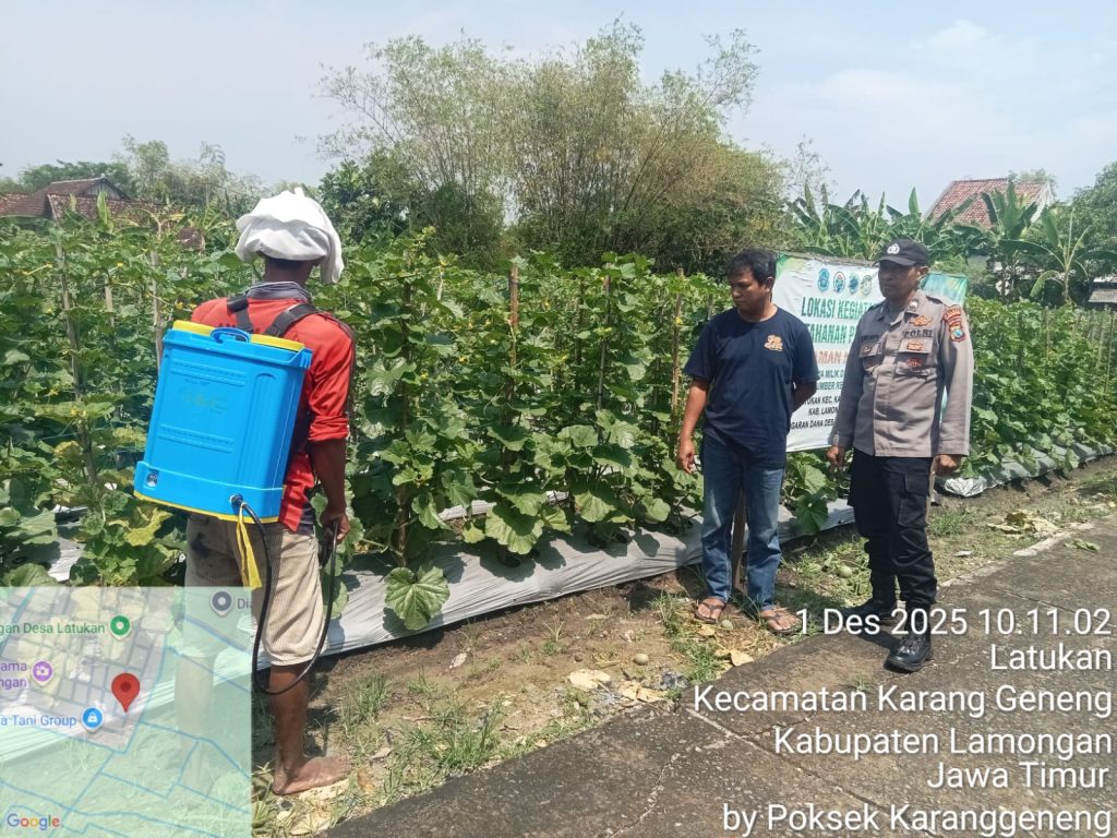 Polsek Karanggeneng Turun ke Kebun Warga: Motivasi Petani Latukan Sukseskan Program Pangan Bergizi Nasional