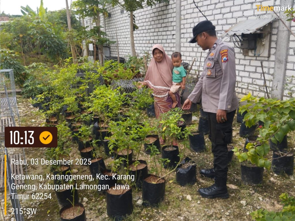 Polsek Karanggeneng Monitoring Program Pangan Bergizi, Cabai-Tomat Warga Subur Mendukung Ketahanan Pangan Nasional