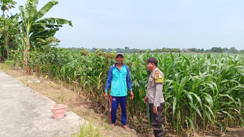 Polsek Maduran Dorong Optimalisasi Pekarangan Pangan Bergizi, Warga Gedangan Diminta Aktif Menanam