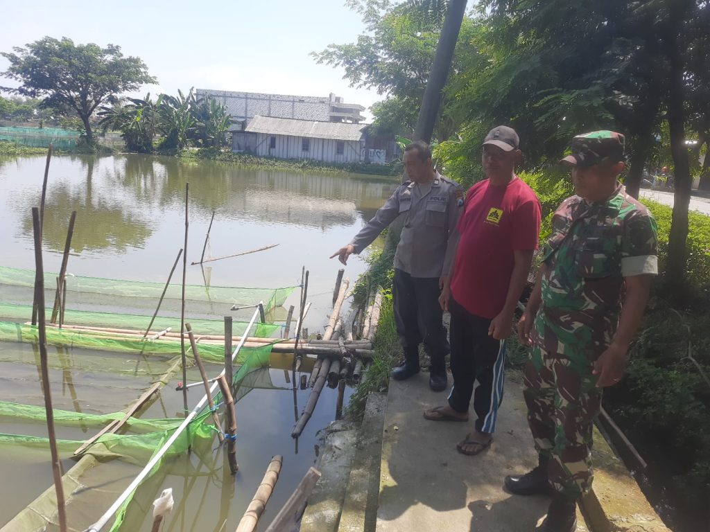 Polsek Turi Cek Pekarangan Bergizi Warga Kemlagi Gede, Dukung Program Swasembada Pangan Polda Jatim