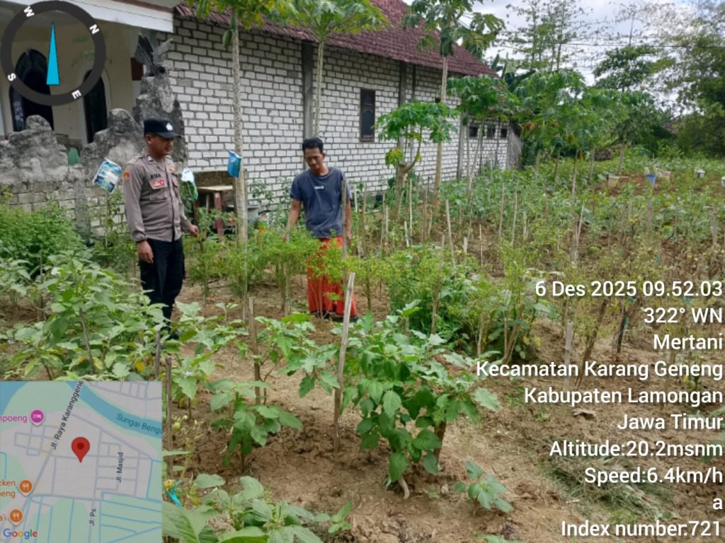 Polsek Karanggeneng Dorong Ketahanan Pangan Warga Lewat Program P2B, Pekarangan Produktif Mulai Meningkat
