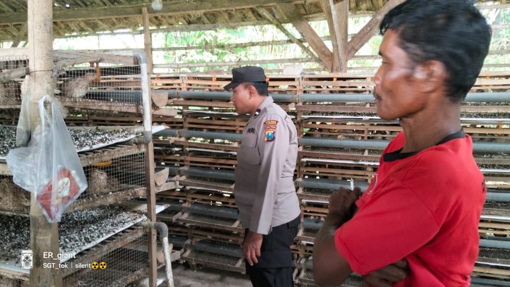 Kapolsek Kalitengah Turun Langsung Sosialisasikan Program Peternakan Telur Puyuh di Desa Kediren