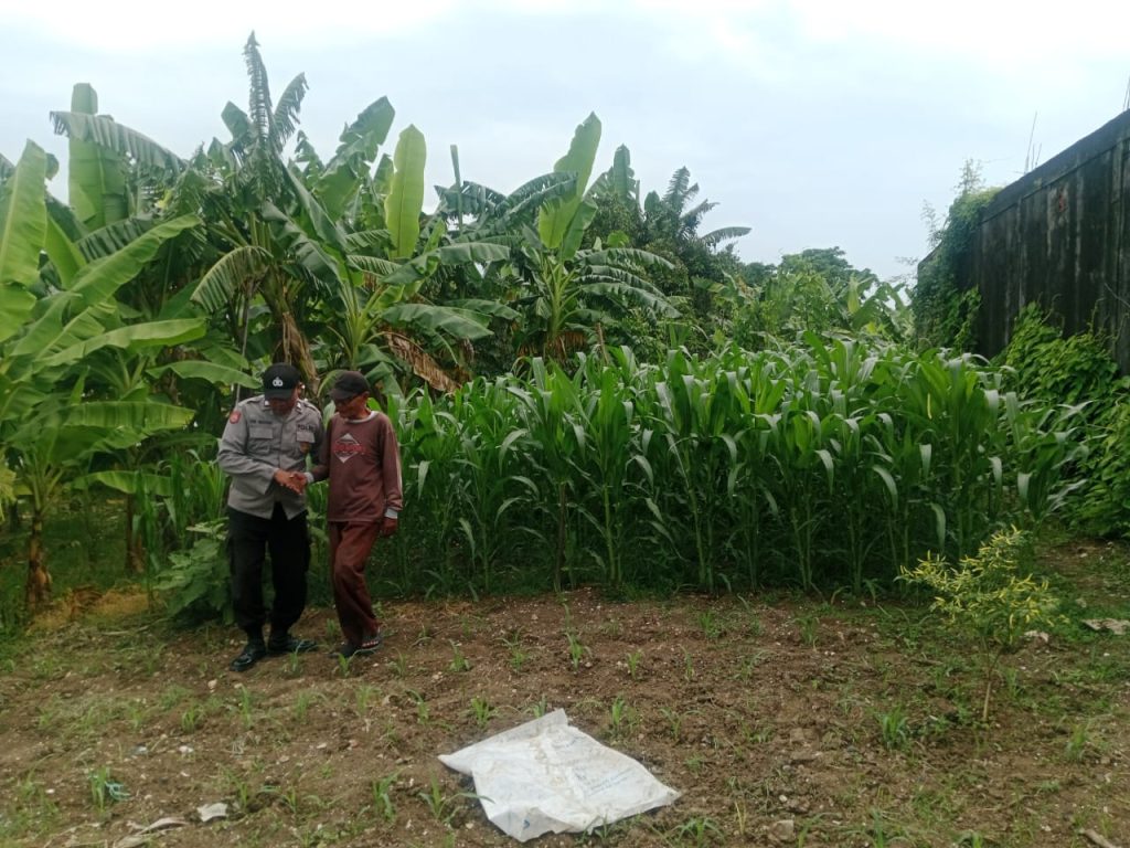 Polsek Maduran Monitoring Program P2B, Dorong Warga Siwuran Optimalkan Pekarangan untuk Ketahanan Pangan