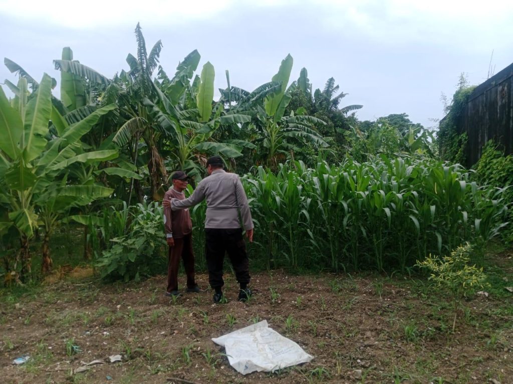 Dorong Ketahanan Pangan, Polsek Maduran Monitoring Program Pekarangan Pangan Bergizi di Desa Brumbun