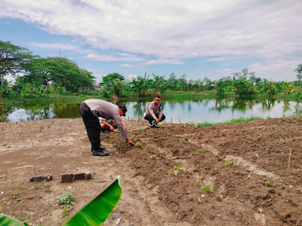 Polsek Turi Monitoring P2B Pekarangan Warga Desa Turi: Tanaman Buah Kelengkeng, Jeruk, Pepaya, Jambu hingga Budidaya Ikan