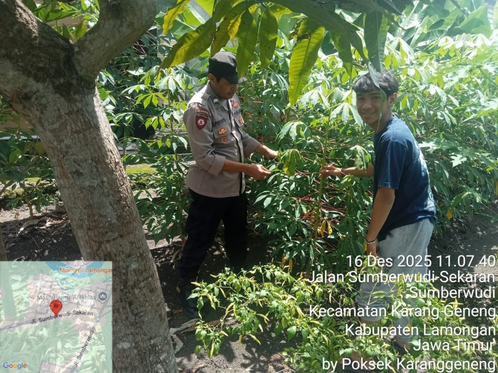 Dukung Ketahanan Pangan, Polsek Karanggeneng Monitoring Program Pangan Bergizi di Desa Sumberwudi