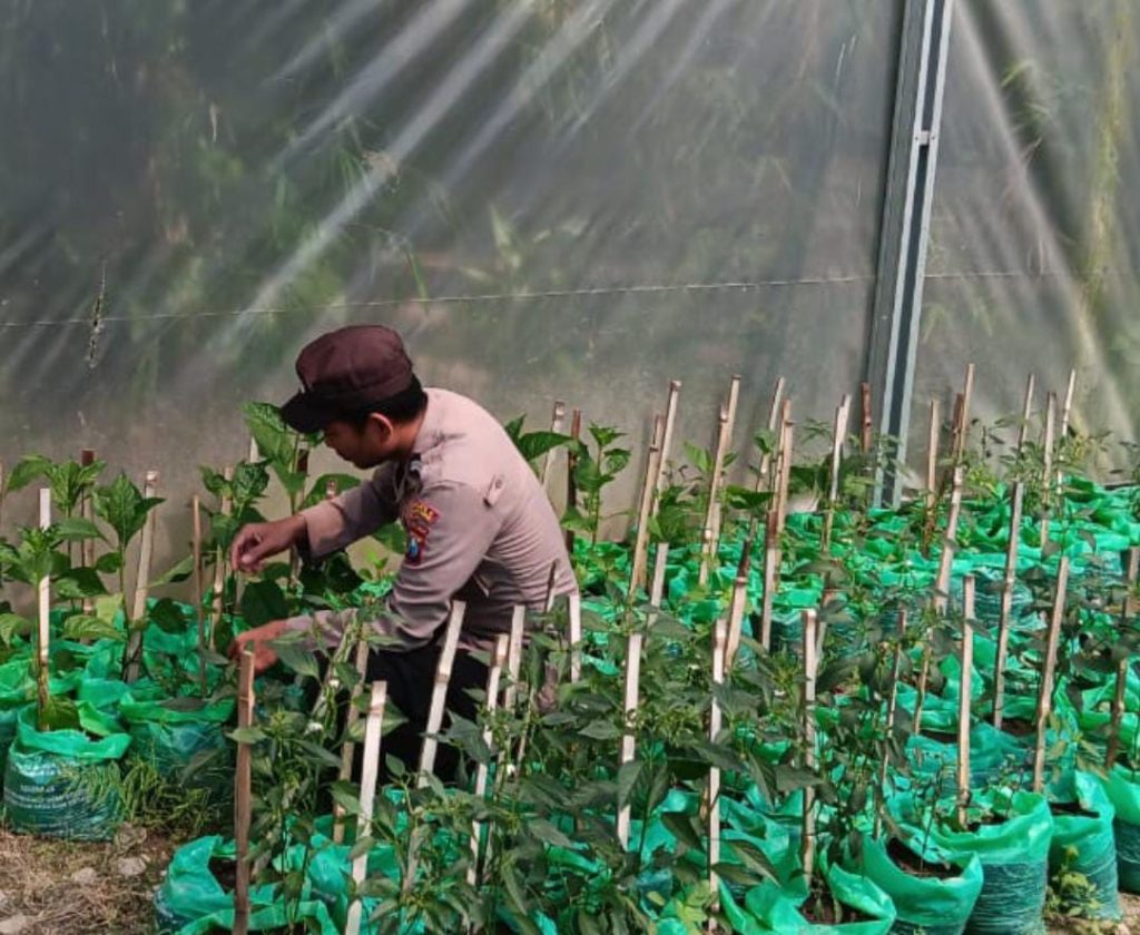 Polsek Maduran Polres Lamongan Monitoring Program Pekarangan Pangan Bergizi, Dorong Masyarakat Tanam Sayuran di Halaman Rumah