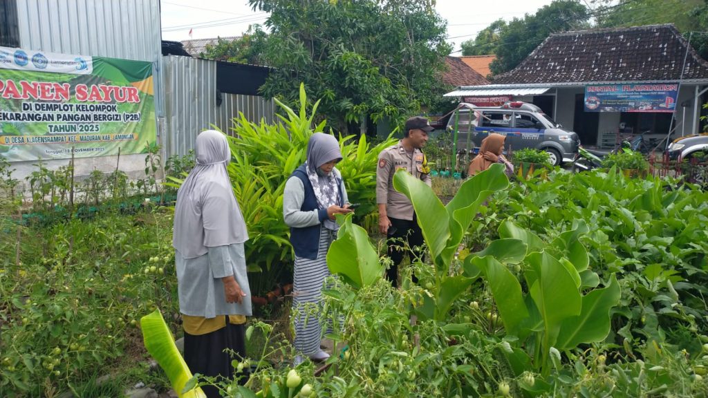 Polsek Maduran Dorong Ketahanan Pangan Lewat Monitoring Program Pekarangan Pangan Bergizi di Wilayahnya