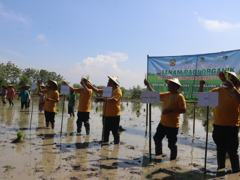 Bupati Blora Minta Petani Organik Didata dan Didampingi