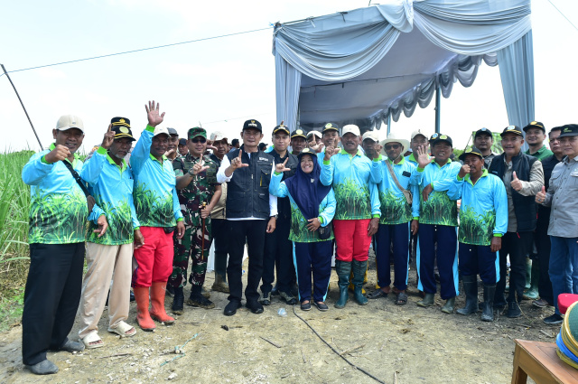 Wujudkan Swasembada Gula Nasional, Bupati Yes Pimpin Langsung Bongkar Ratoon Massal di Mantup
